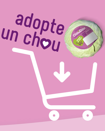 Réalisation Site Choudou