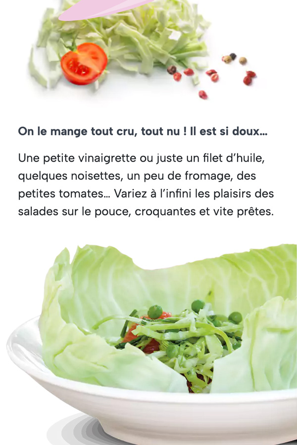Réalisation Site internet