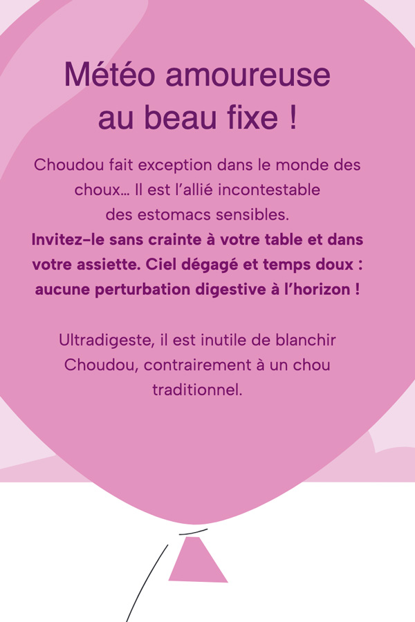 Réalisation Site internet