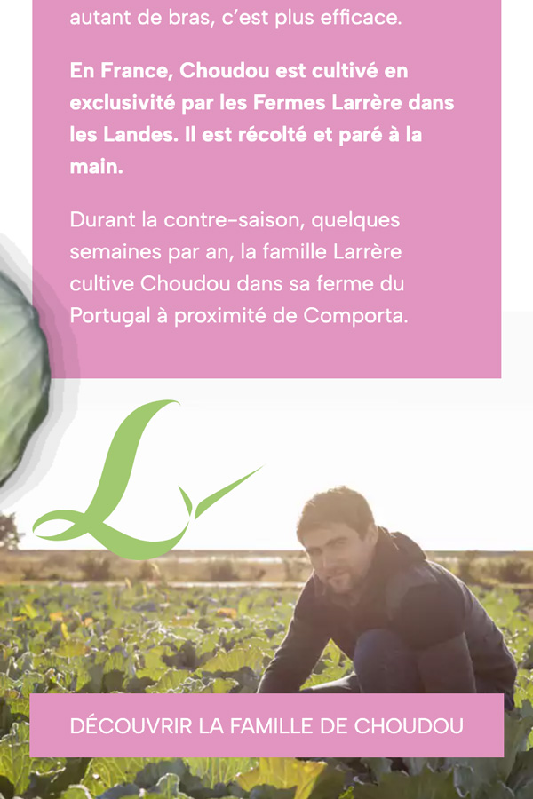 Réalisation Site internet